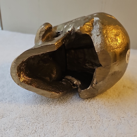 New Shiny Gold Skull with Hallowed Out Center Halloween Decor 3"x3" - Picture 9 of 12
